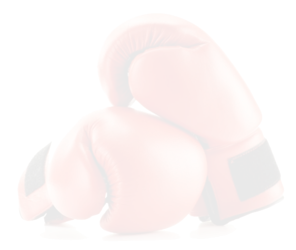 La Maravilla Combat Gym