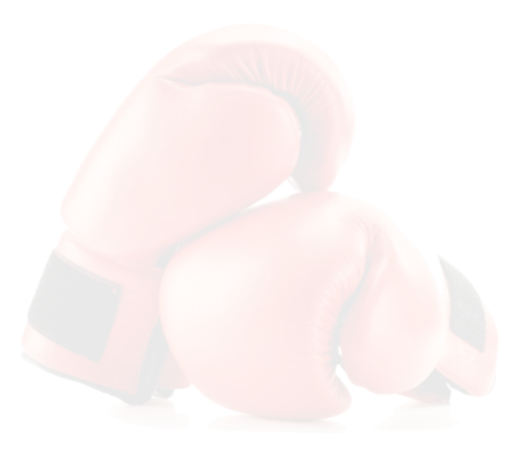 La Maravilla Combat Gym