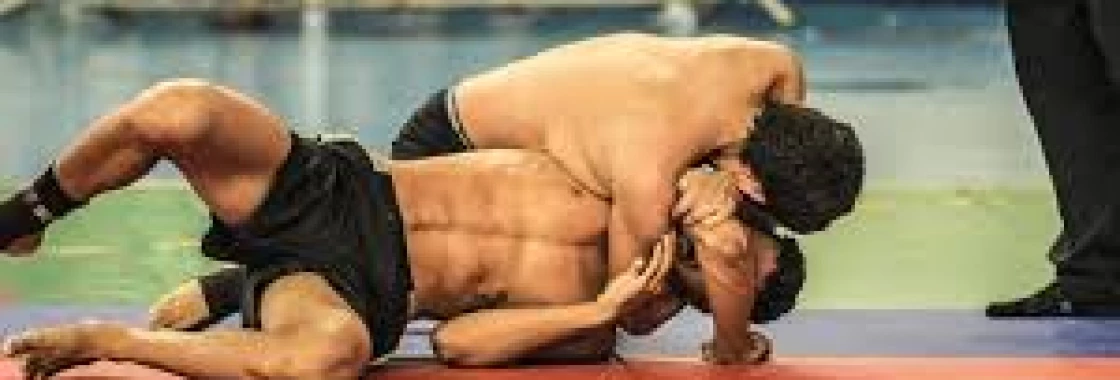 The arts that make MMA