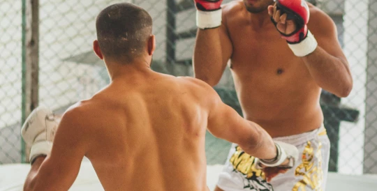 Best Pound-for-Pound MMA Fighter (2026)