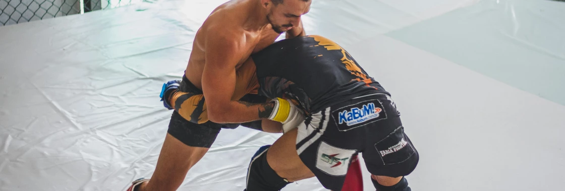The arts that make MMA :Wrestling