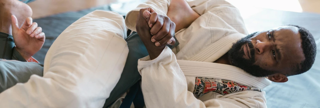 The arts that make MMA :Judo